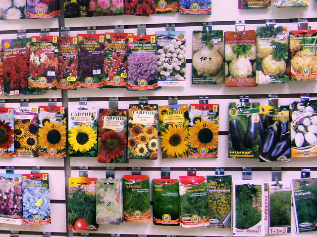 Где Купить Семена Цветов В Спб